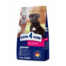 Сухий корм для собак Club 4 Paws Преміум. Для цуценят великих порід зі смаком курки 2 кг (4820083909481)