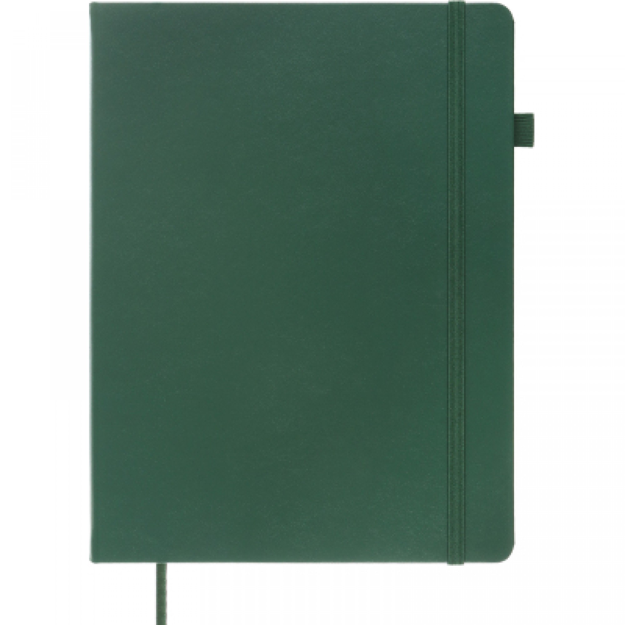Книга записна Buromax Etalon 190x250 мм 96 аркушів в клітинку обкладинка зі штучної шкіри Зелена (BM.292160-04)