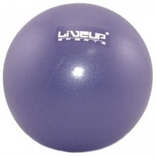 М'яч для фітнесу LiveUp Mini Ball LS3225-20p фіолетовий 20см (6951376103694)