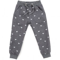 Штани дитячі Breeze з динозавриками (16191-116B-gray)