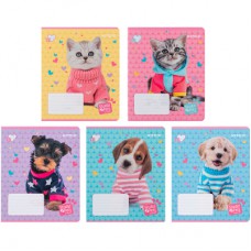 Зошит Kite Studio Pets 18 аркушів, лінія (SP24-237)