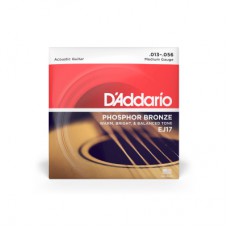 Струни для гітари D'Addario Phosphor Bronze Medium (13-56) (EJ17)