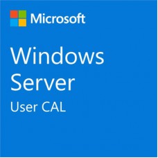 ПЗ для сервера Microsoft Windows Server 2025 CAL - 1 User CAL - 1 year Subscription, Commercial, Annual (DG7GMGF0PWHT_0004_P1Y_A)
