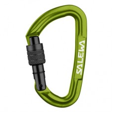 Карабін туристичний Salewa Hot G3 Screw 1724 5810 - UNI - зелений (013.003.1323)