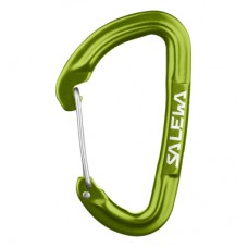 Карабін туристичний Salewa Hot G3 Wire 1723 5810 - UNI - зелений (013.003.1321)