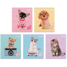 Зошит Kite Studio Pets, 24 аркуші, клітинка (SP25-238)