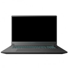 Ноутбук Thunderobot 911 X17 (911X17-i7136H56C1Q165MBD)