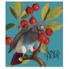 Зошит Школярик Birds 60 аркушів клітинка (060-3410K)