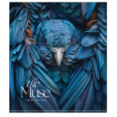 Зошит Школярик THE MUSE 60 аркушів клітинка (060-3444K)