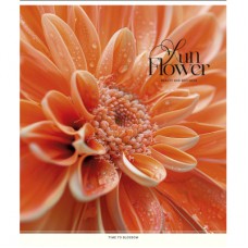 Зошит Школярик Sun Flower 60 аркушів клітинка (060-3456K)