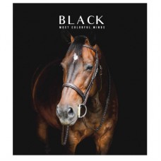 Зошит Школярик Black classic 96 аркушів лінія (096-3388L)