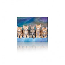 Килимок для мишки Voltronic Five Cats (YT-CAT30)