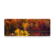 Килимок для мишки Voltronic Autumn forest (AT372)