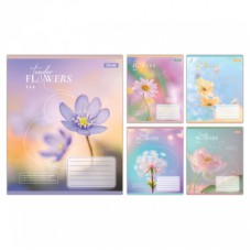 Зошит 1 вересня Tender Flowers А5 48 аркушів лінія (768081)