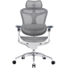 Офісне крісло Sihoo DORO C300 Pro Mesh White (DORO-C300-PRO-M102)