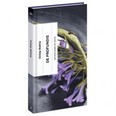 Книга De Profundis - Оскар Вайлд Ще одну сторінку (9786175225561)