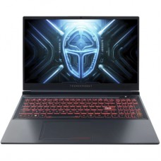 Ноутбук Thunderobot R16 (R16-i9139HX58C1Q300RG)