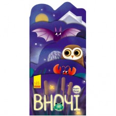 Книга Вночі. Аудіо-бонус - І.М. Андрусяк Ранок (9789667495688)