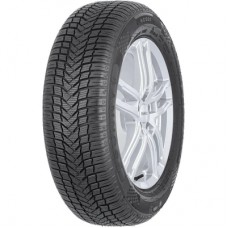 Шина Sunny 205/50R17 93W XL NC501 (6123)