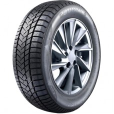Шина Sunny 315/35R20 110V XL NW211 (0844)