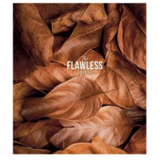 Зошит Школярик The Flawless 48 аркушів клітинка (048-3046K)