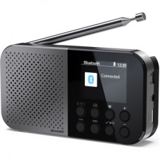 Портативний радіоприймач Sharp DR-P520 Grey (DR-P520GY)